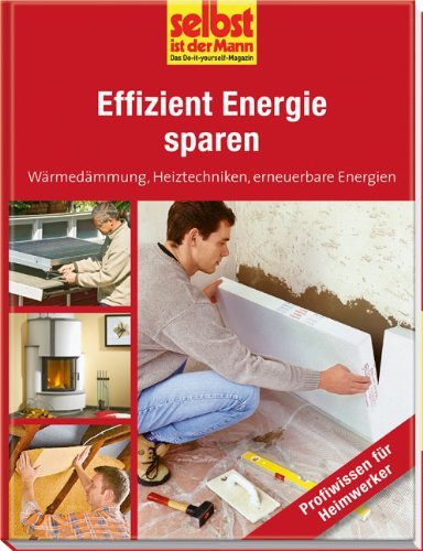 Sachbuch "effizient Energie sparen"