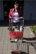 Falteinkaufstasche - TROLLEY - Farbe